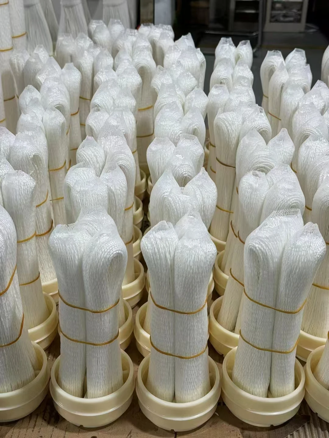 1000L Hollow PVDF Material Fiber MBR Membrane for Filtration Treatment System Water Filter Cartridge