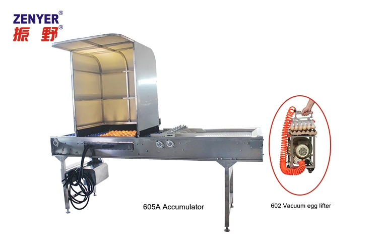 large electronic egg grading sorting machine