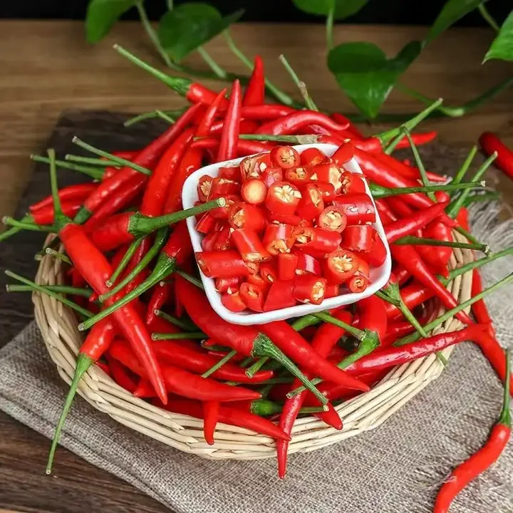 High Quality Low Cost Raw Fresh Hot Spice And Herb Large Red Chili Peppers Sweet Red Paprika Chilli Pepper Cooking Spice