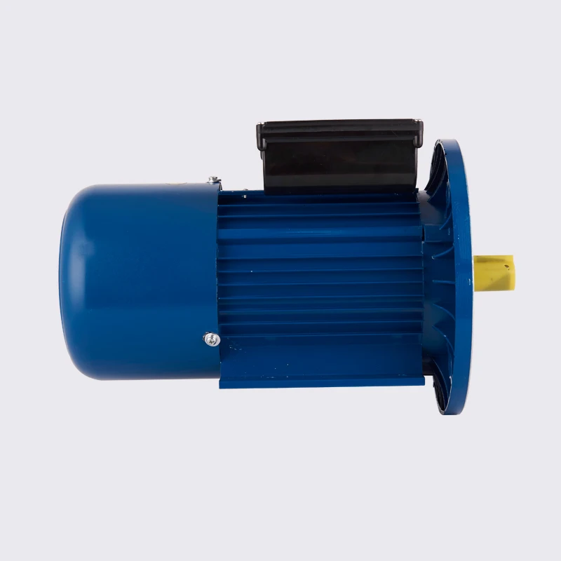YL Series  2 HP Single Phase Induction Motor