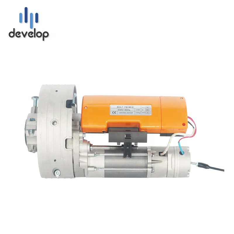 Simple Motor 180kg Central Electric AC Motor Remote Control Door Lock Motor