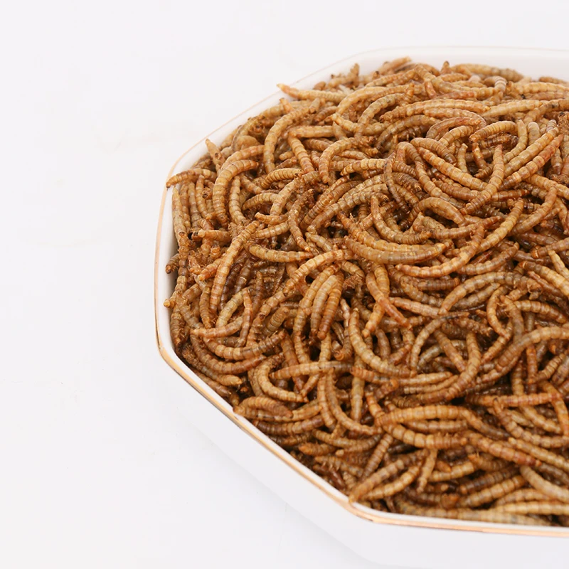 Wholesale export-grade bird food hamster edible yellow mealworm dried mealworm
