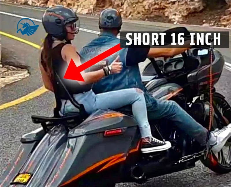 Задняя подставка для пассажира Sissybar 38 мм Harley Touring Road King Street Electra Ultra Glide CVO