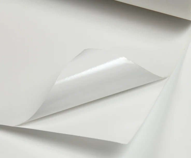 Waterproof 100% Inkjet Polyester Canvas Inkjet Painting Cloth Self Adhesive Vinyl Oil Canvas Fabric