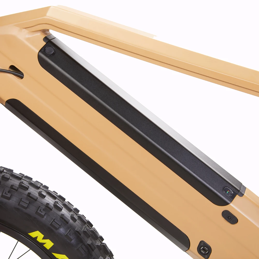 Belt Drive 48v 1000w Dual Batteries Bafang Ultra G510 M620 motor Gates ebike, electric bicycle with torque sensor 160NM