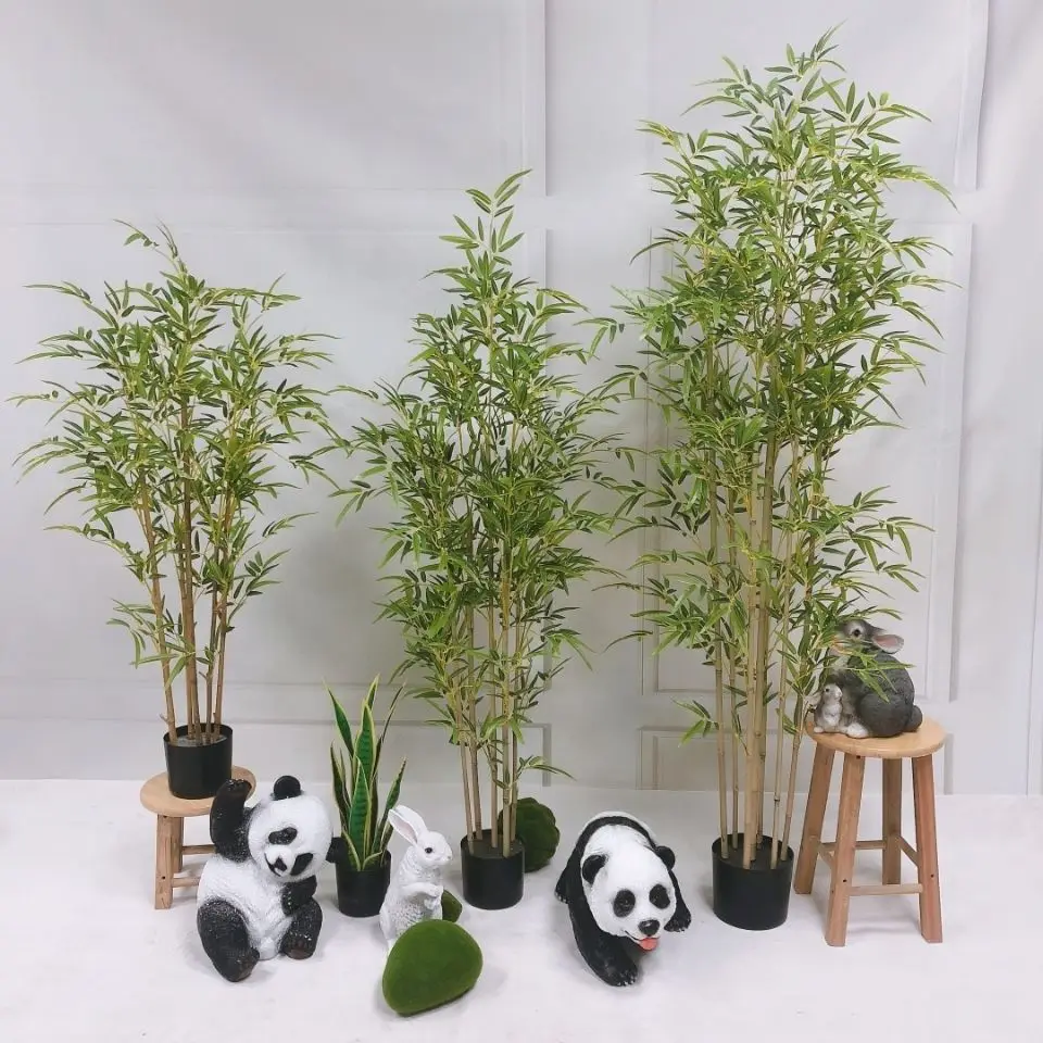 Factory Sale Plants Bamboo Transitional Lucky Bamboo Plant Bonsai Bamboo Fence