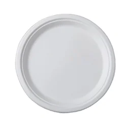 Renewable Compostable Sugarcane Bagasse Tableware Food Tray Biodegradable