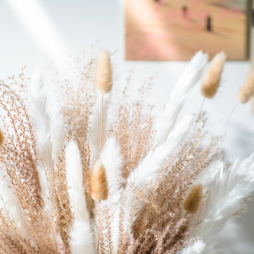 amazon top seller Pampas Grass bouquet dried flowers extraordinary flowers delivered flower wall