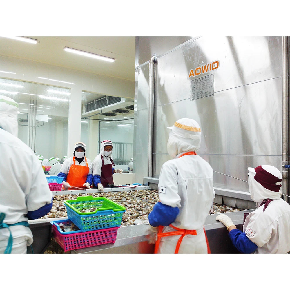 Individual Quick Freezing Machine Tunnel Freezer IQF