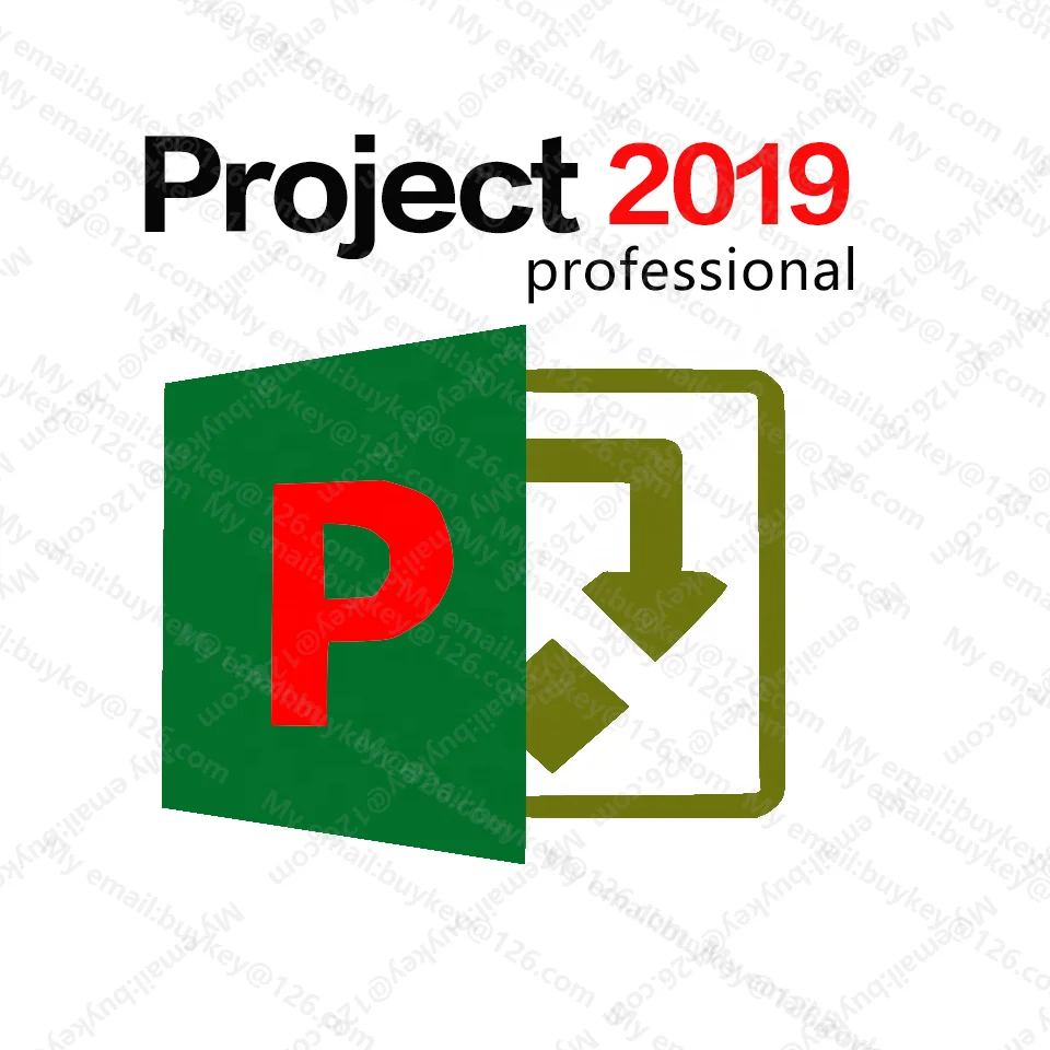 1PC Project Professional 2019 100% Online Digital Key Office 2019 Project Professional License 24 hours Email Instant Deliver