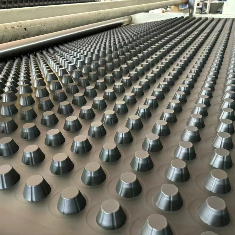 Китай HDPE композитный дренаж высокого полистирола дренажная пластиковая доска