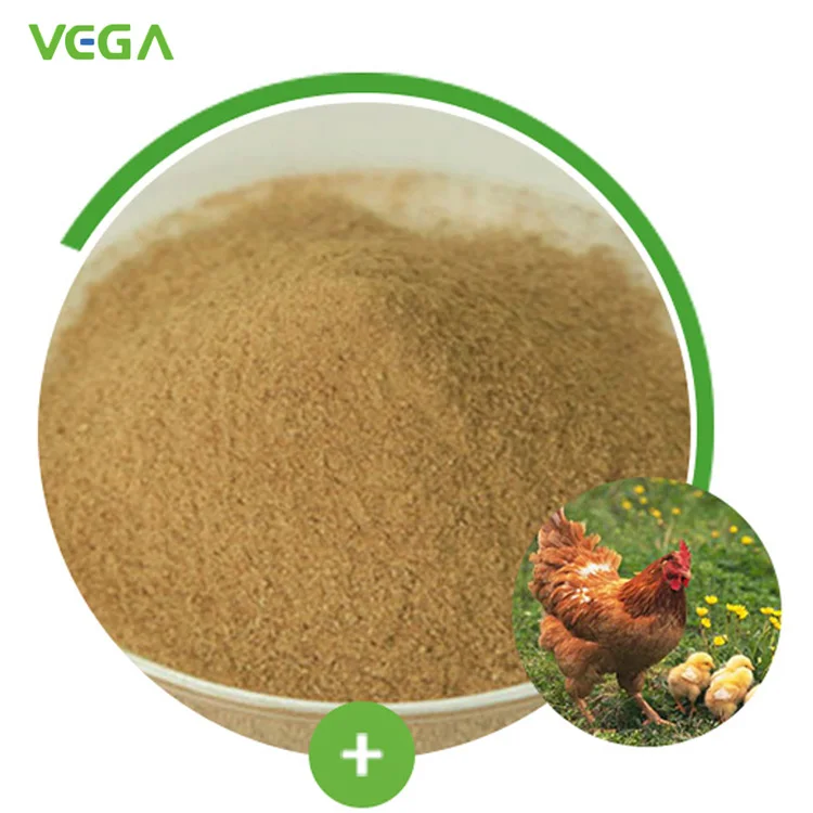 
Active Three-A Probiotics Bacillus Megaterium Bacillus Subtilis Bacillus Licheniformis China manufacturer active three-A probiotics Bacillus megaterium bacillus subtilis bacillus licheniformis zhejiang huijia