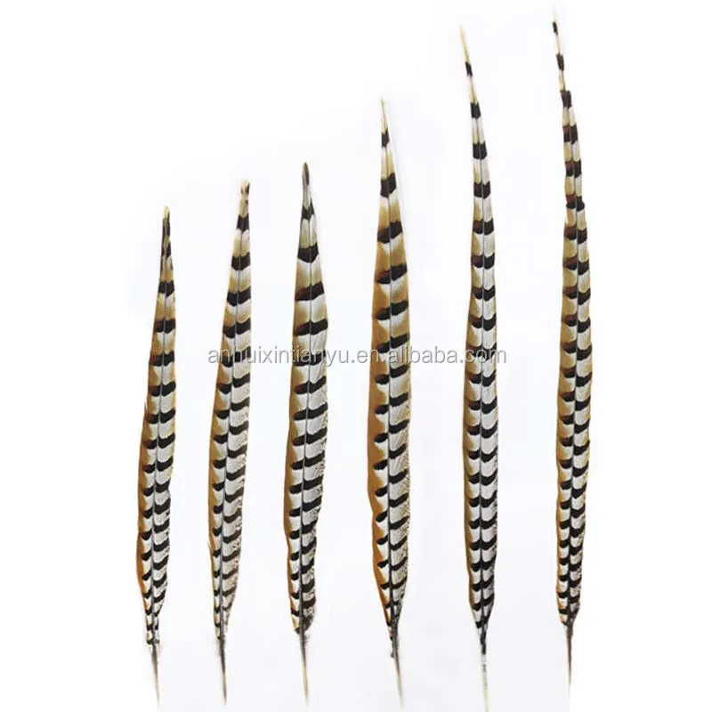Wholesale natural 10-160cm Reeves Pheasant Tail Feather