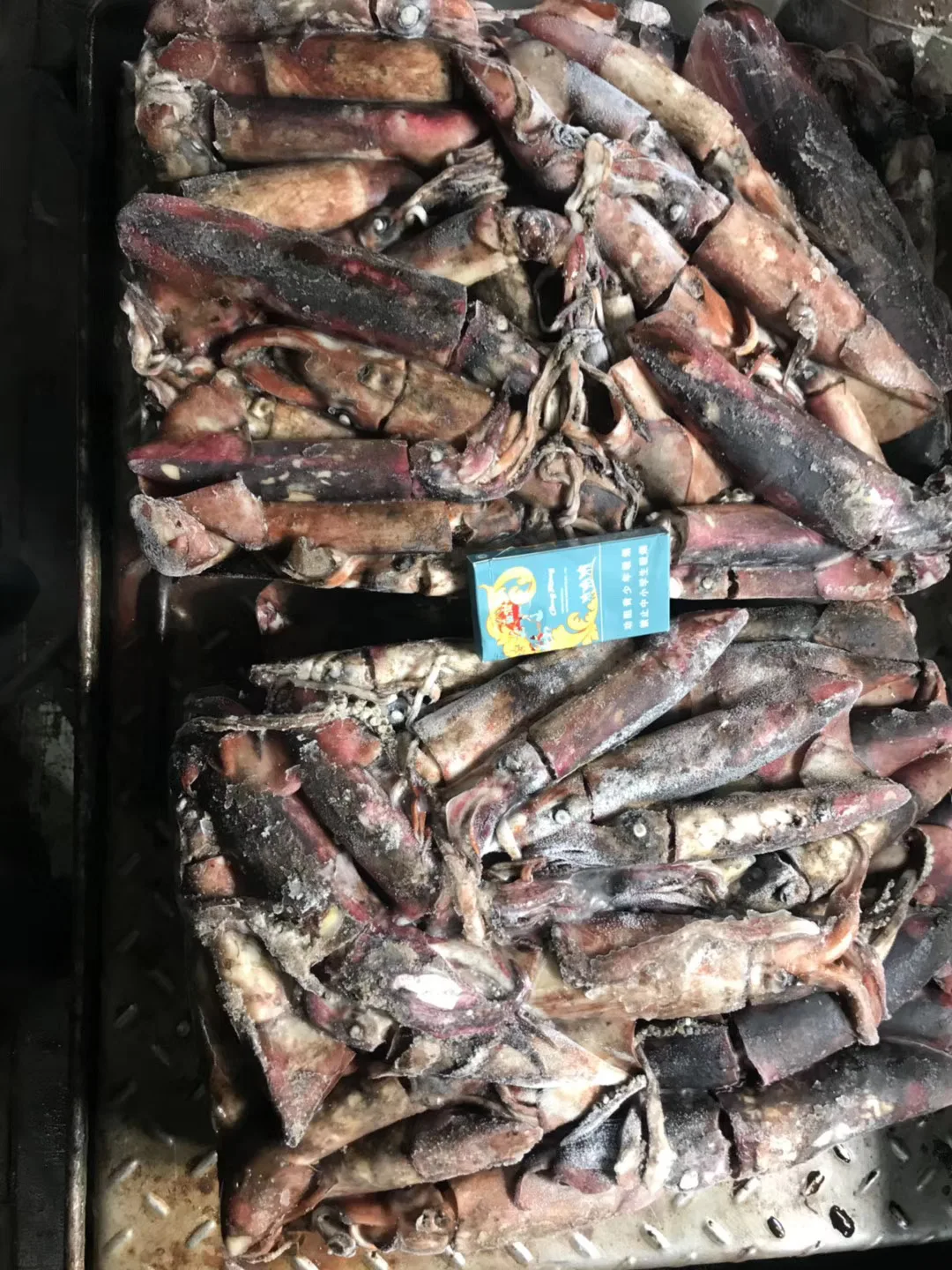 
cheap frozen black squid WR peru squid giant size price frozen for canning/market 