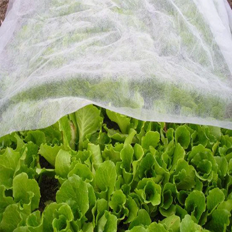 Protection Plant Cover Frost Protection Fleece Garden Plant Cover Nonwoven Fabric  PP Agriculture Nonwoven Fabric