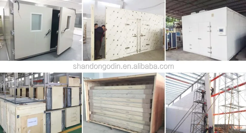
Refrigeration freezing room, cold storage room price, blast freezer cold room 