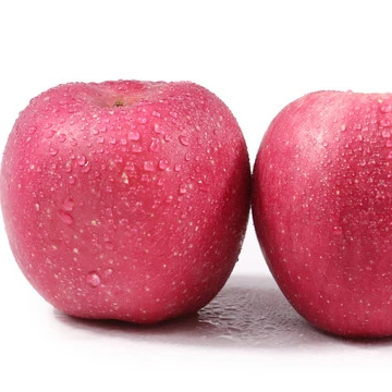 
new crop fresh fuji apple 