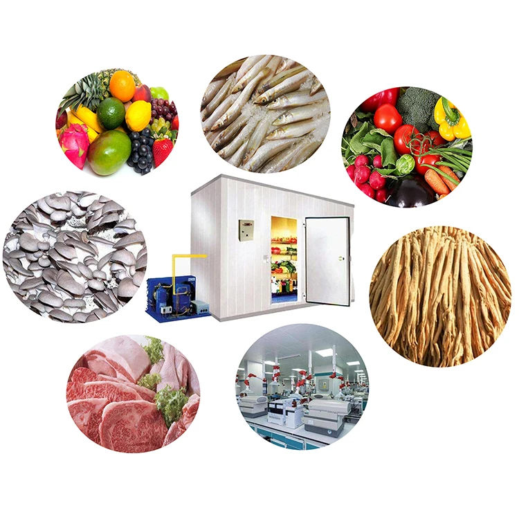 
onion cold room fresh cold storage cooler cold project Industrial refrigerator freezer cooling system 
