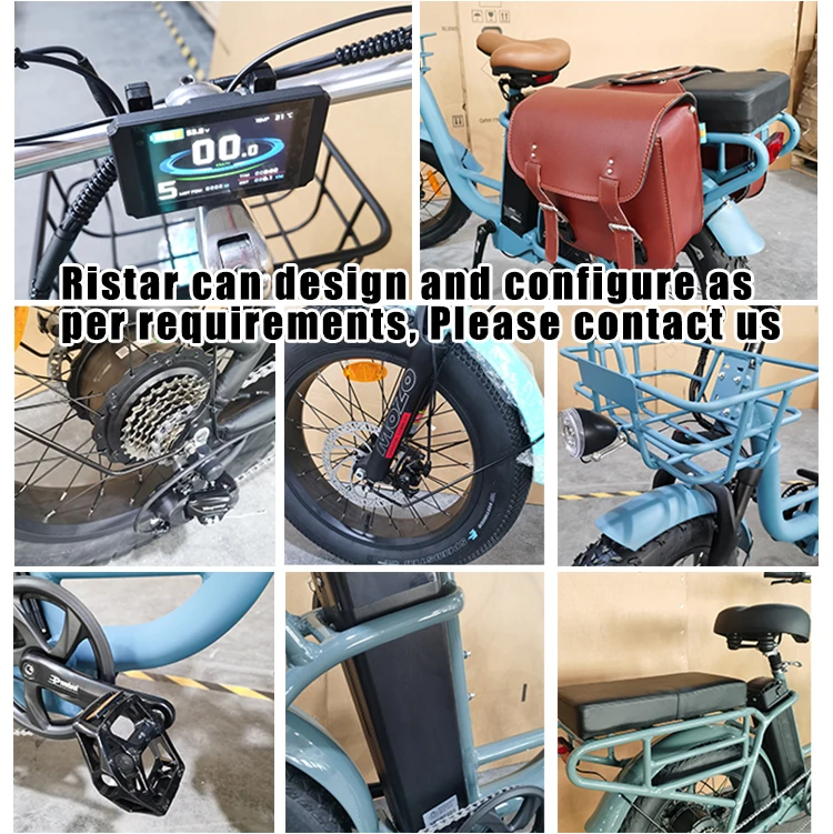 Fast Delivery 20Inch Electric Fat Tire Bike 750W Bafang Rear Motor Snow Beach Super Ebike Electric Bicycle Delivery