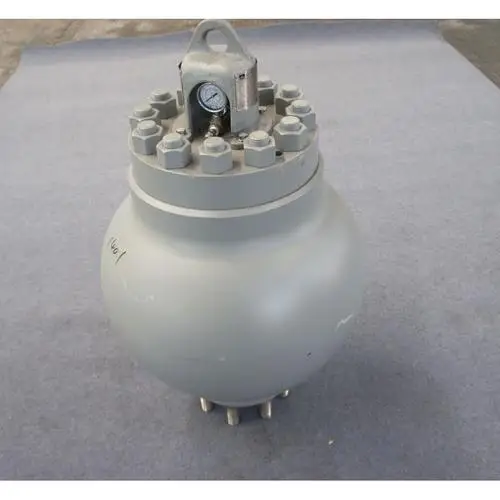 Beyond API Standard Air Bag Assembly for Drilling Equipment