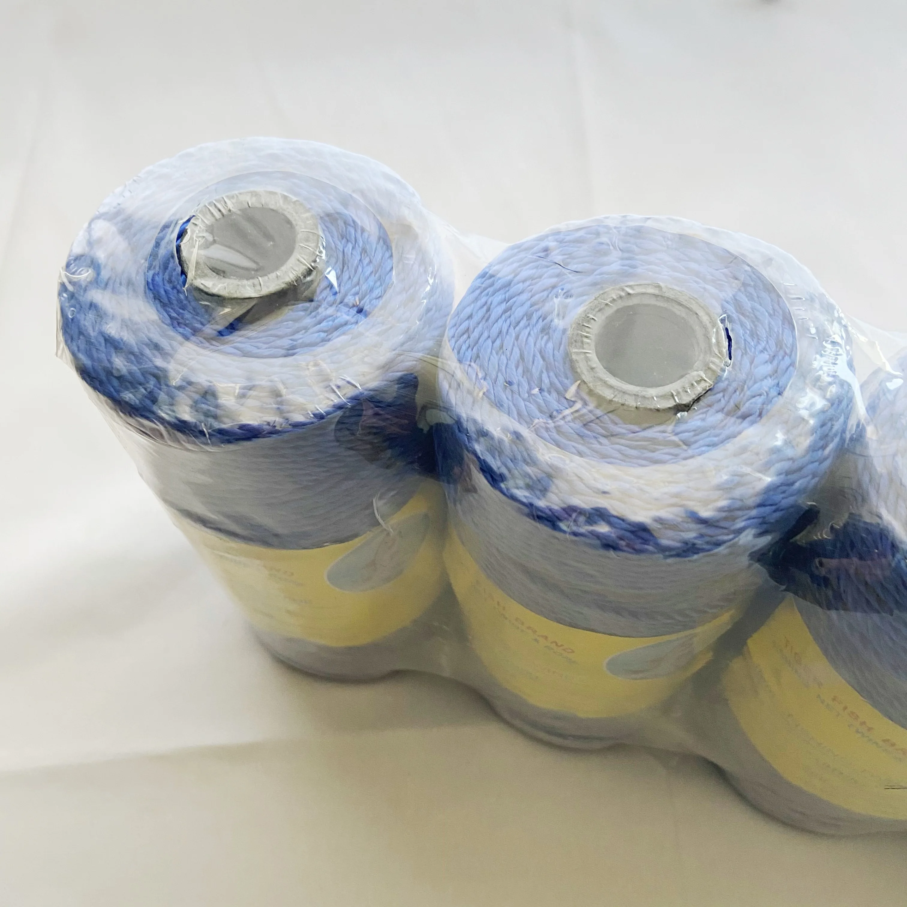 100% Polyester Multifilament Fishing Twine Ring Spun Twisted Nylon Twine 210D/3-150 Ply