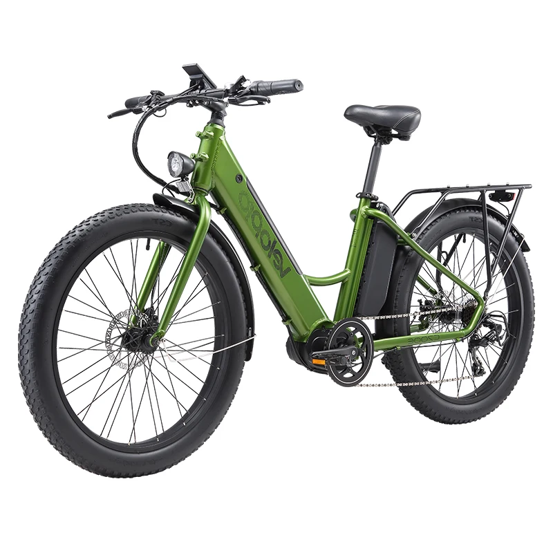 China factory supply OEM production e-bike 26 inches fat tire mid motor electric bike for travel