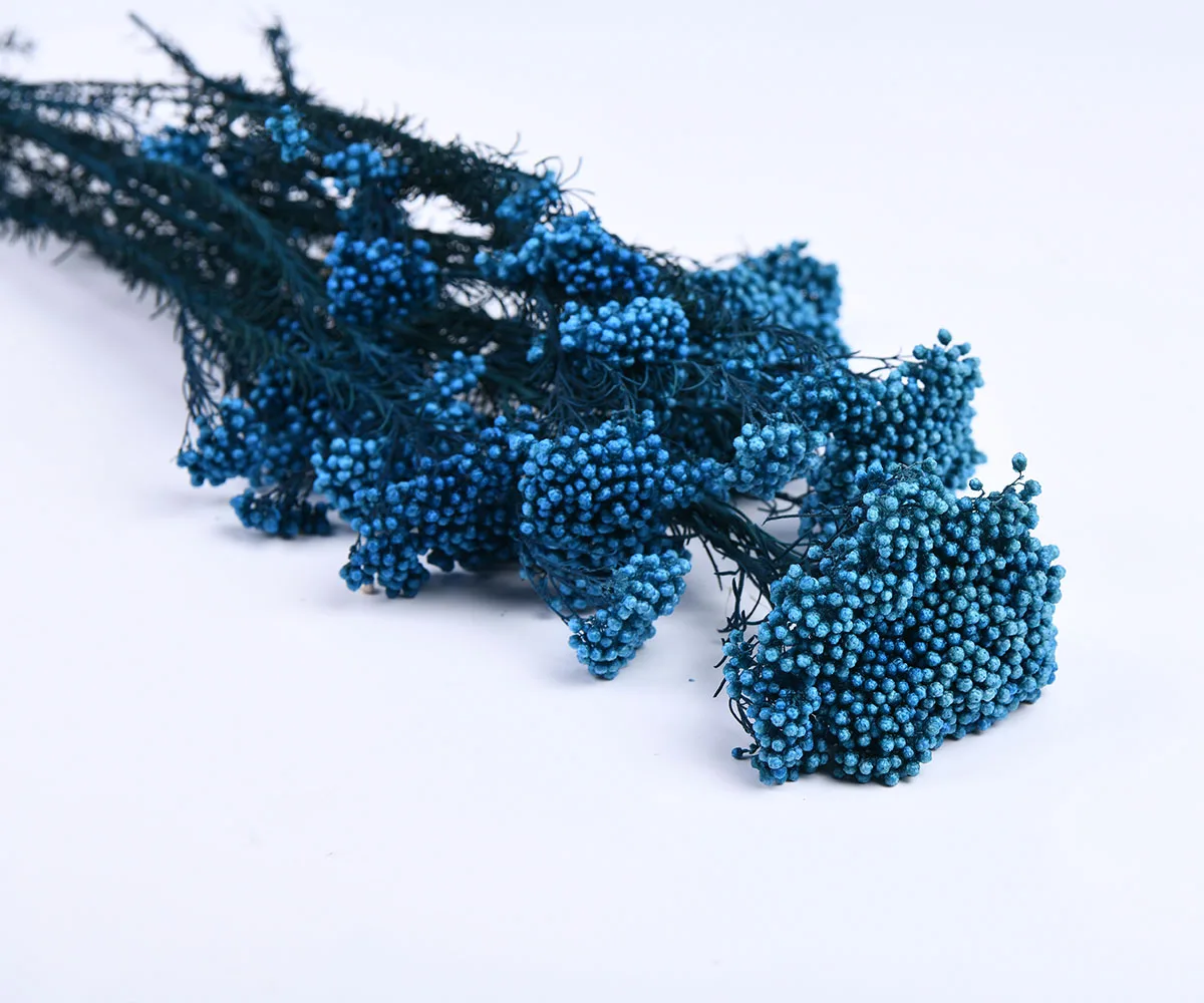 Small Reed Ozothamnus Millet Dried Flowers Bunch Bouquet Natural Arrangement Preserved Rice Flower for Wedding