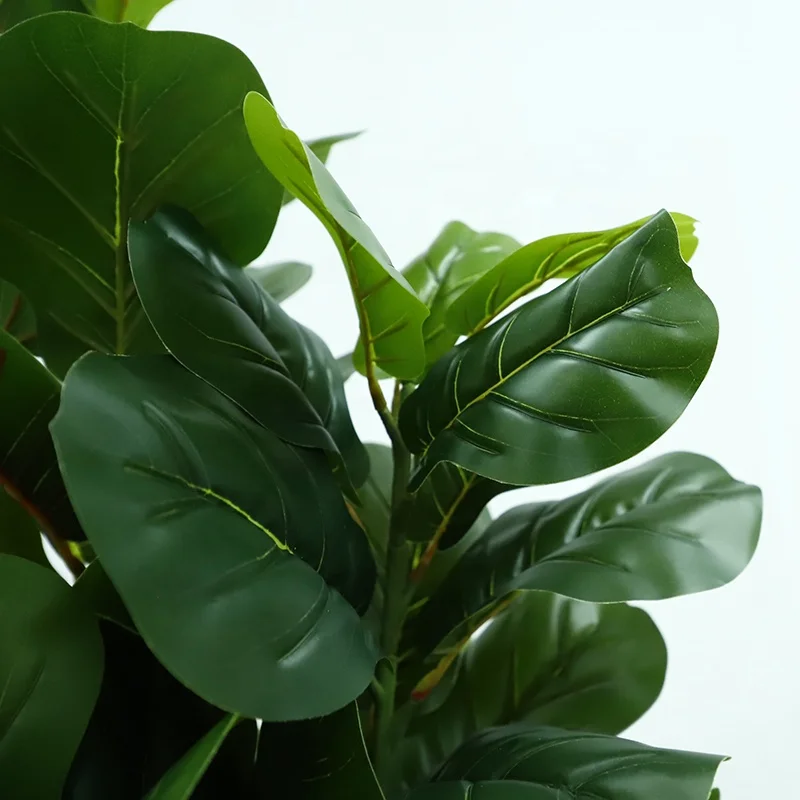 Gourd Leaves Plants Selling Bonsai Online Natural, Artificial Plant With Pots