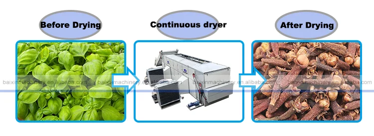 Chili Pepper Garlic Raw Banana Cassava Chips Cloves Drying Equipment