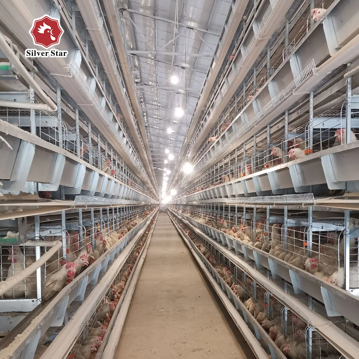 Hot Selling Poultry Farming Layer Chicken Cage System Chicken Layer Cage Chicken Breeding Cage