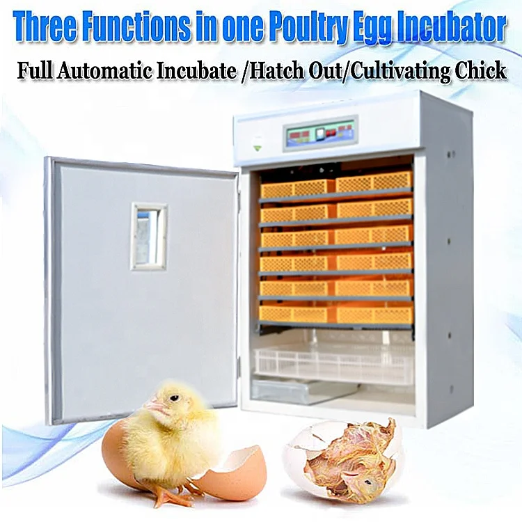 Коммерческий Diy рептилия китайский инкубатор для яиц 1000 вращающийся полностью автоматический набор аксессуаров