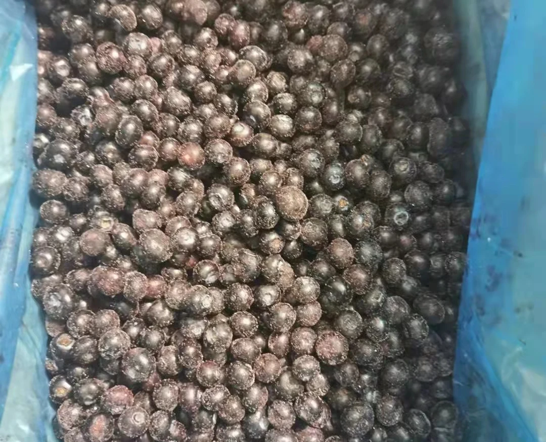 HACCP китайская iqf клубника Китай экспортная оптовая продажа IQF Замороженная черника