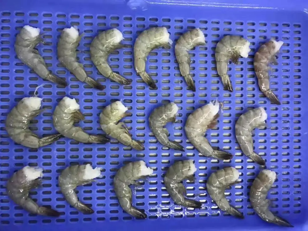 Cheap price hot selling product Frozen Vannamei Shrimp