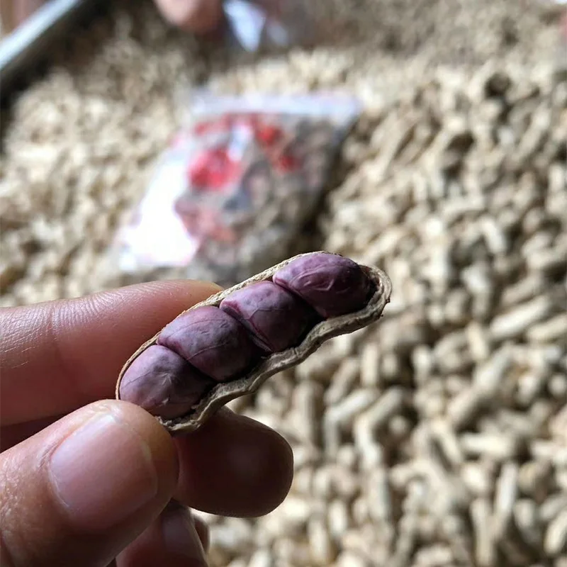 Высококачественный жареный арахис, арахис, ядра, китайский специальный приготовленный Арахис для захвата, вкусный арахис в индивидуальной упаковке