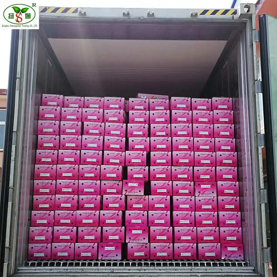 Alibaba Gold Supplier Information Carrot carton packing specializes in exporting to Thailand, Singapore, Malaysia, Philippines