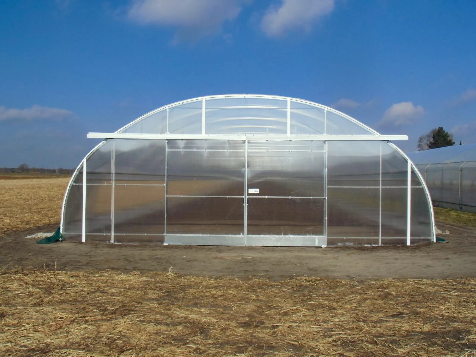 CUOYUEH Hot Sale Low Cost Tunnel Frame Single Span Pe Film Greenhouse Serre Agricole For Flowers Plant Agriculture Greenhouse