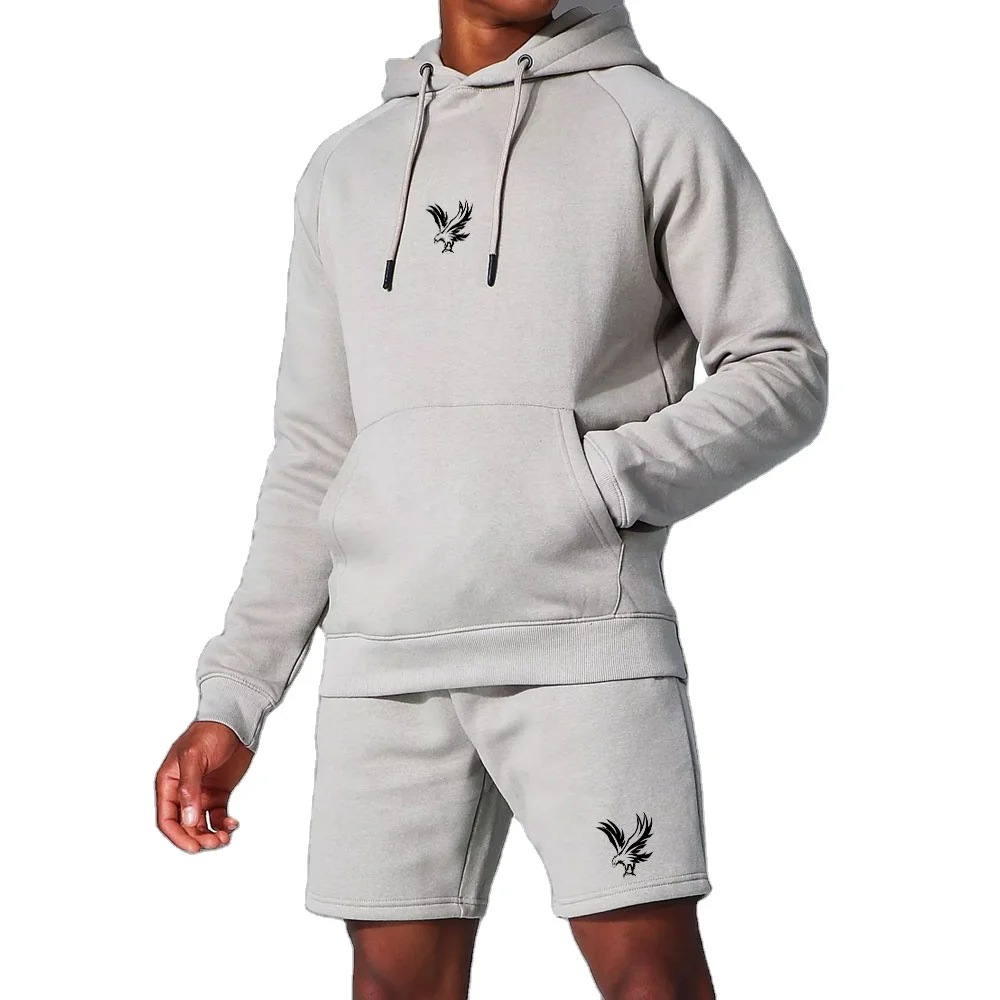 Мужской комплект из флисовой толстовки и шорт с логотипом унисекс 2024 производитель