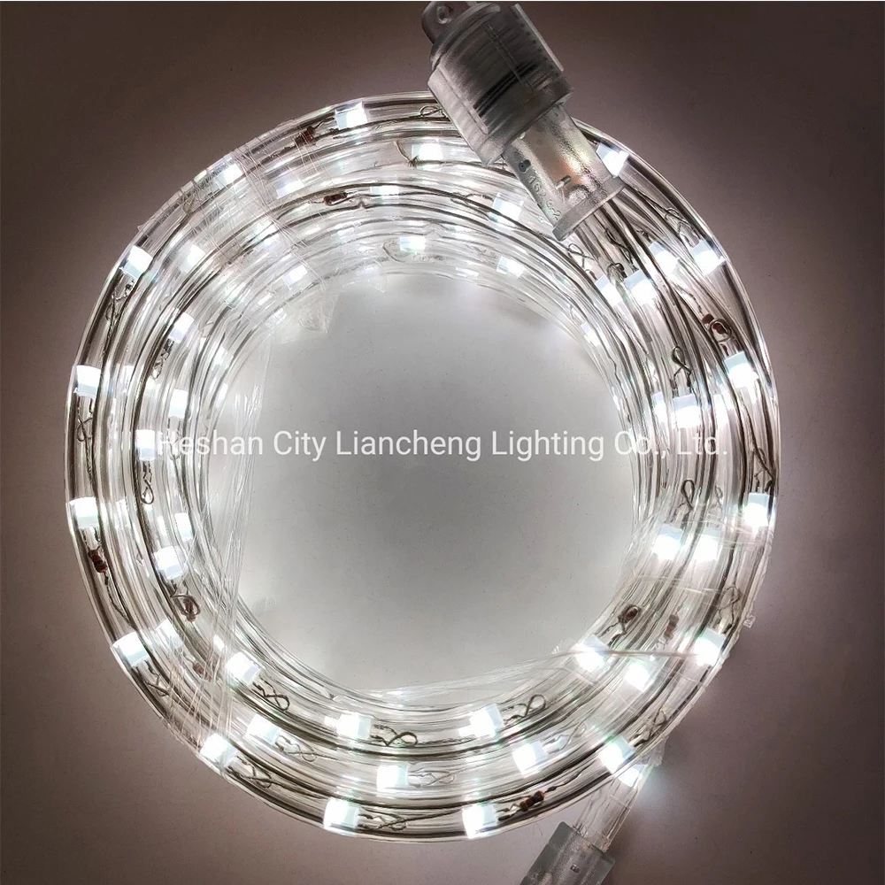 Wifi 12V 5.5m Waterproof Tape Lights for Home Remote Holidaysmart Led Strip Light RGB SMD5050 Neon Lights CE ROHS ETL IP68,IP68