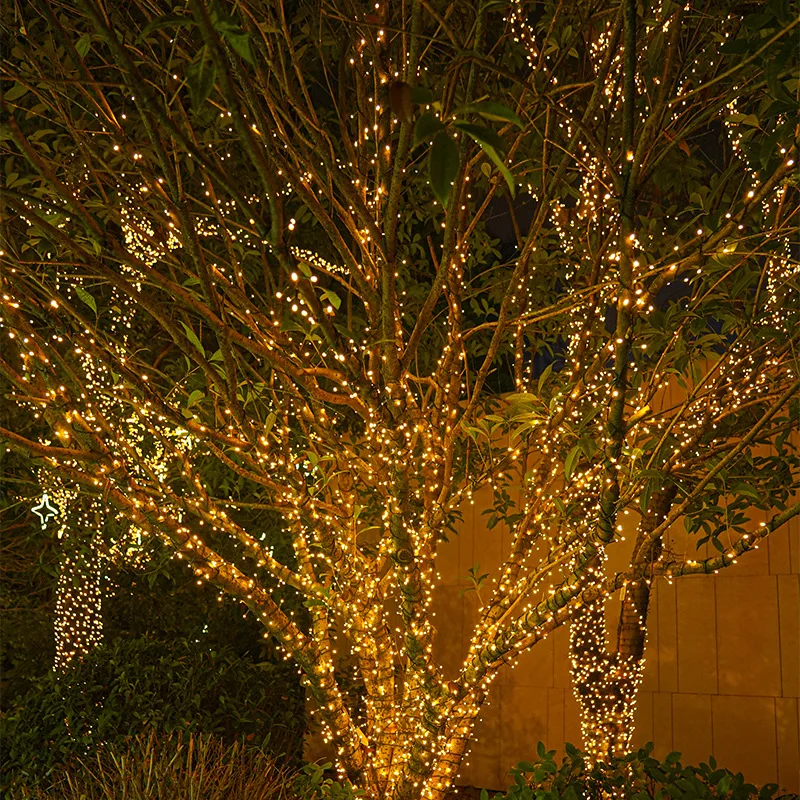 10M 3000k Christmas Decoration and Outdoor Starry Flashing Light