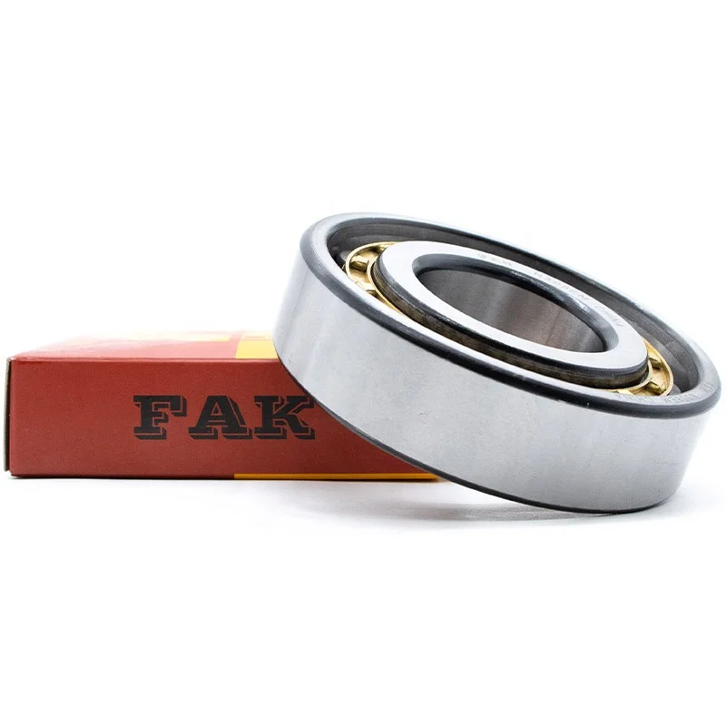 Bearing High Speed FAK Cylindrical Roller Bearing Manufacturing Machine Roller Bearing NN3011K NN3011KTN1 NN3011K/W33