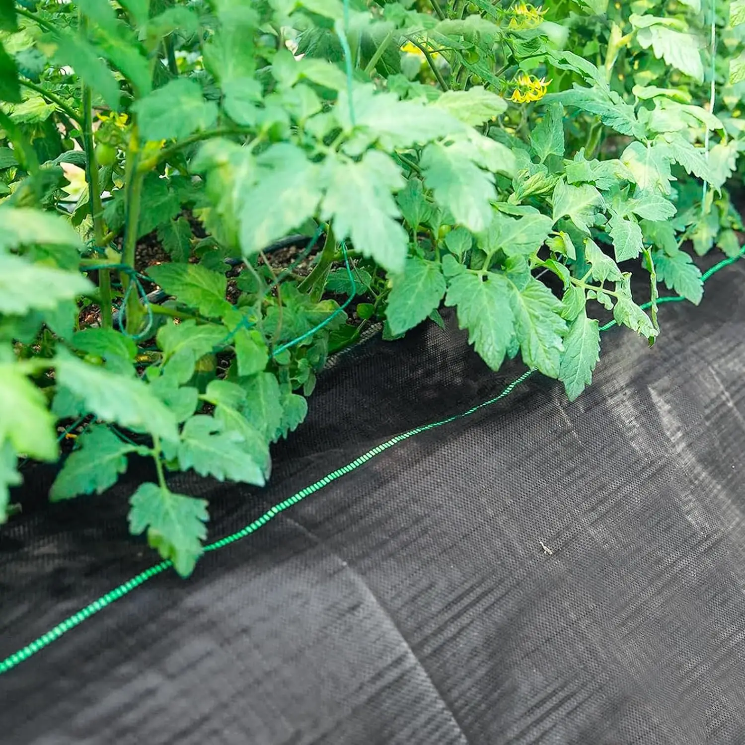 Eco-Friendly standard Black Mulch Anti-Grass fabric Garden Weed Control Mat weed barrier