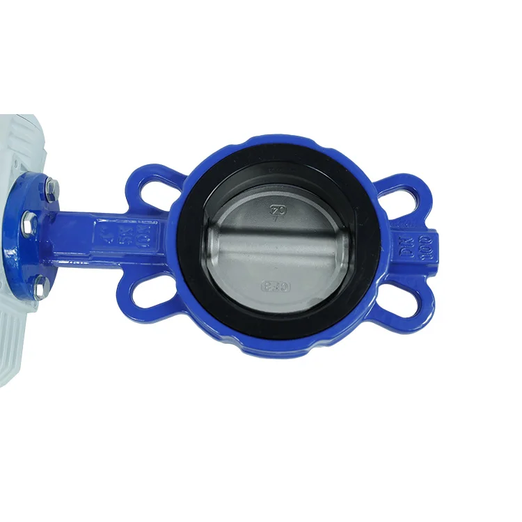 2 inch to 12 inch Cast Iron Semi water Control Lug Butterfly Valve Water SS Disc Electric Control Butterfly Valve