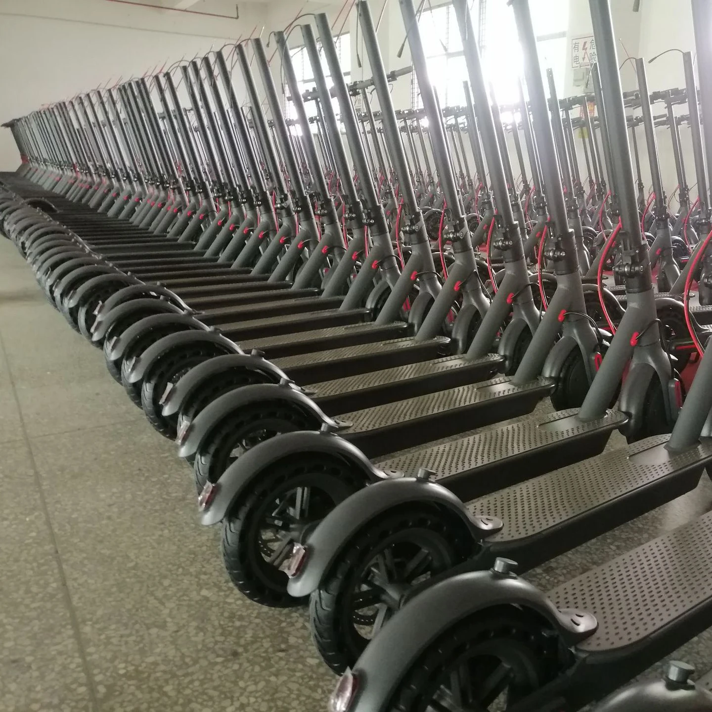 Two wheels citycoco electric scooter