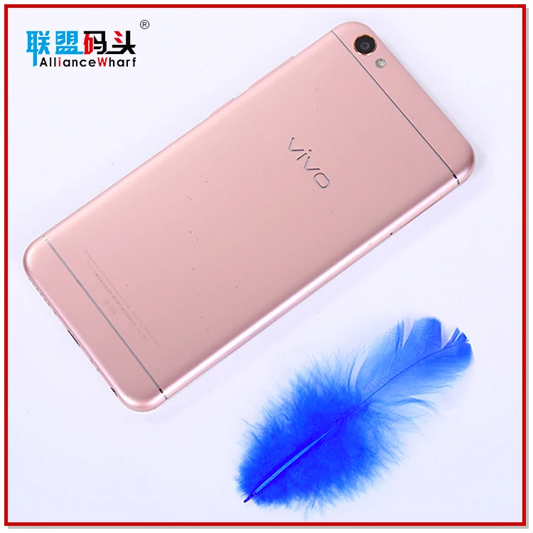 Factory Hot Sales Cheap Pheasant Feather Craft 5-8cm Small Size Dyed Chicken Feathers Multi Color