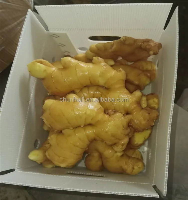 fresh ginger 1 (10).jpg