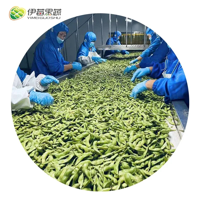Best price Frozen Green Soybean Pod Bulk IQF Edamame Pod