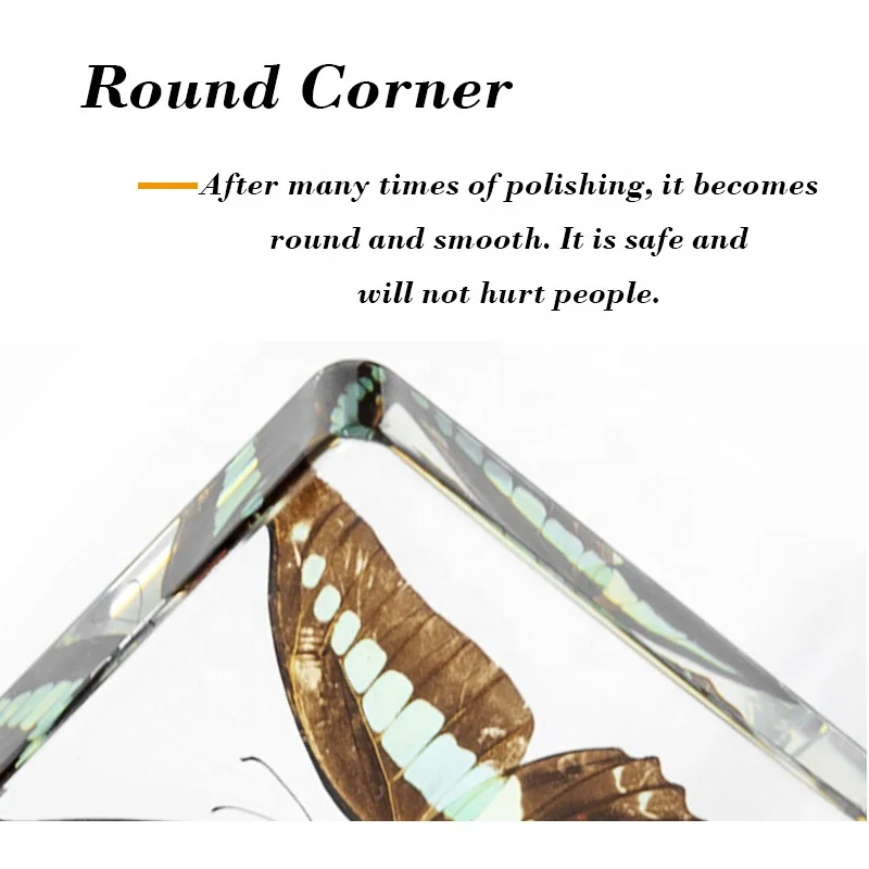 display case cabinet book rack bookshelf tea table end table bedside China factory clear resin real butterfly desktop decoration