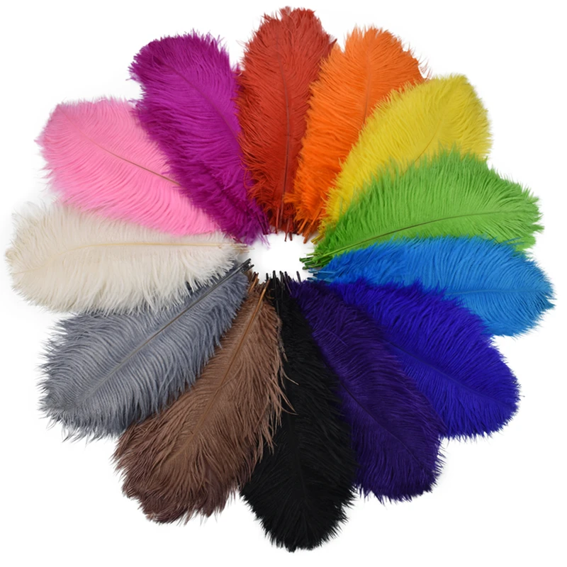 Wholesale Ostrich Feathers 25-30CM DIY Fashion Designer Handicrafts Dream Chaser Clothing Decoration