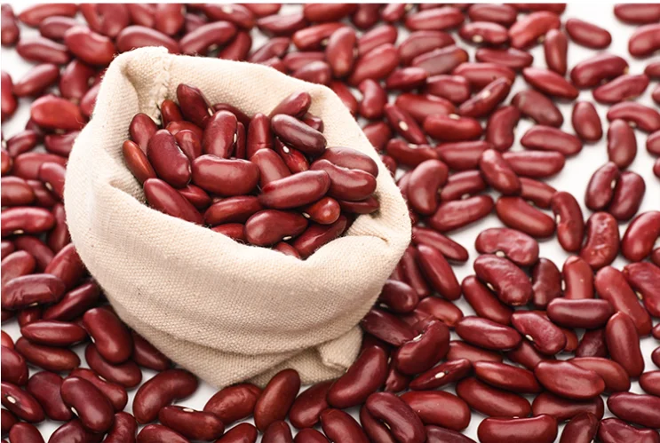 High Nutritious Red Beans Cheap British Red Kidney Beans for Sale