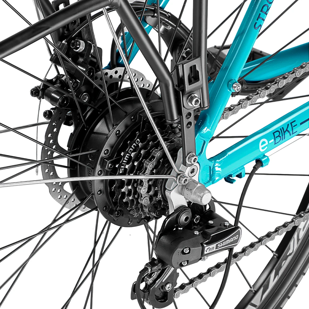 
Fashion electric Bicycle cargo ebike for city bike with double battery 48V 2.8AH 